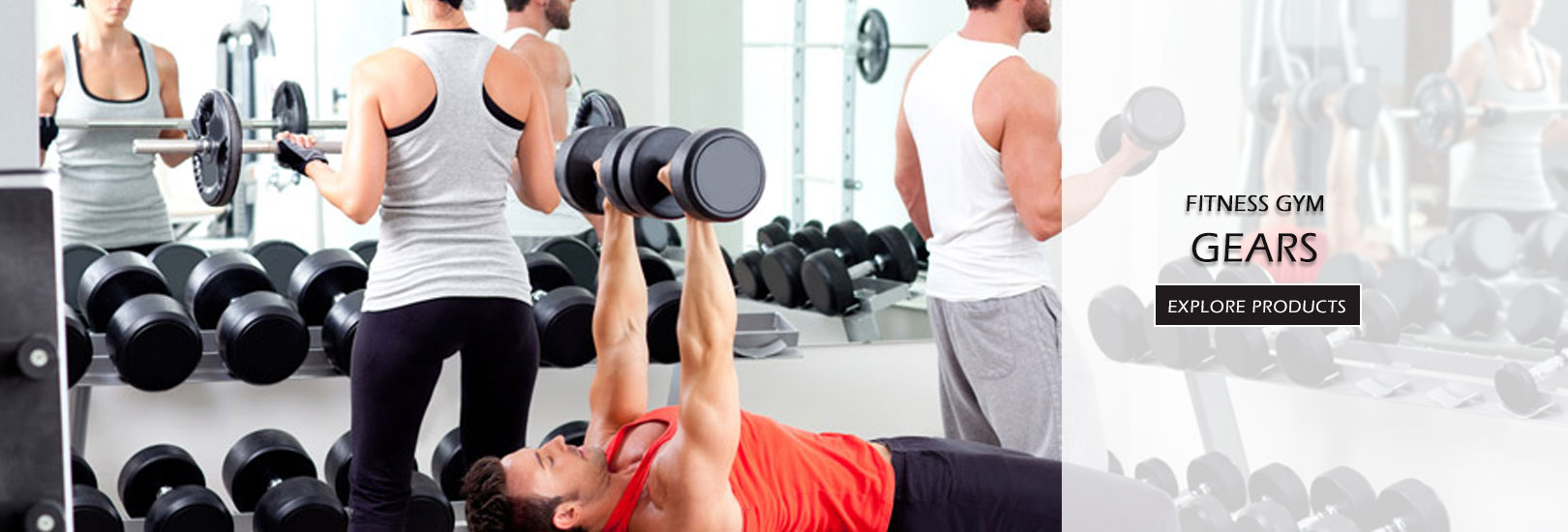 Manufacturers and Exporters of GYM Gloves & GYM Belts